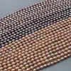 Pérolas naturais de água doce 4-7mm em cores de doce, contas tipo arroz iridescentes com brilho forte e pequenas imperfeições, joias semiacabadas para DIY no atacado a preços acessíveis