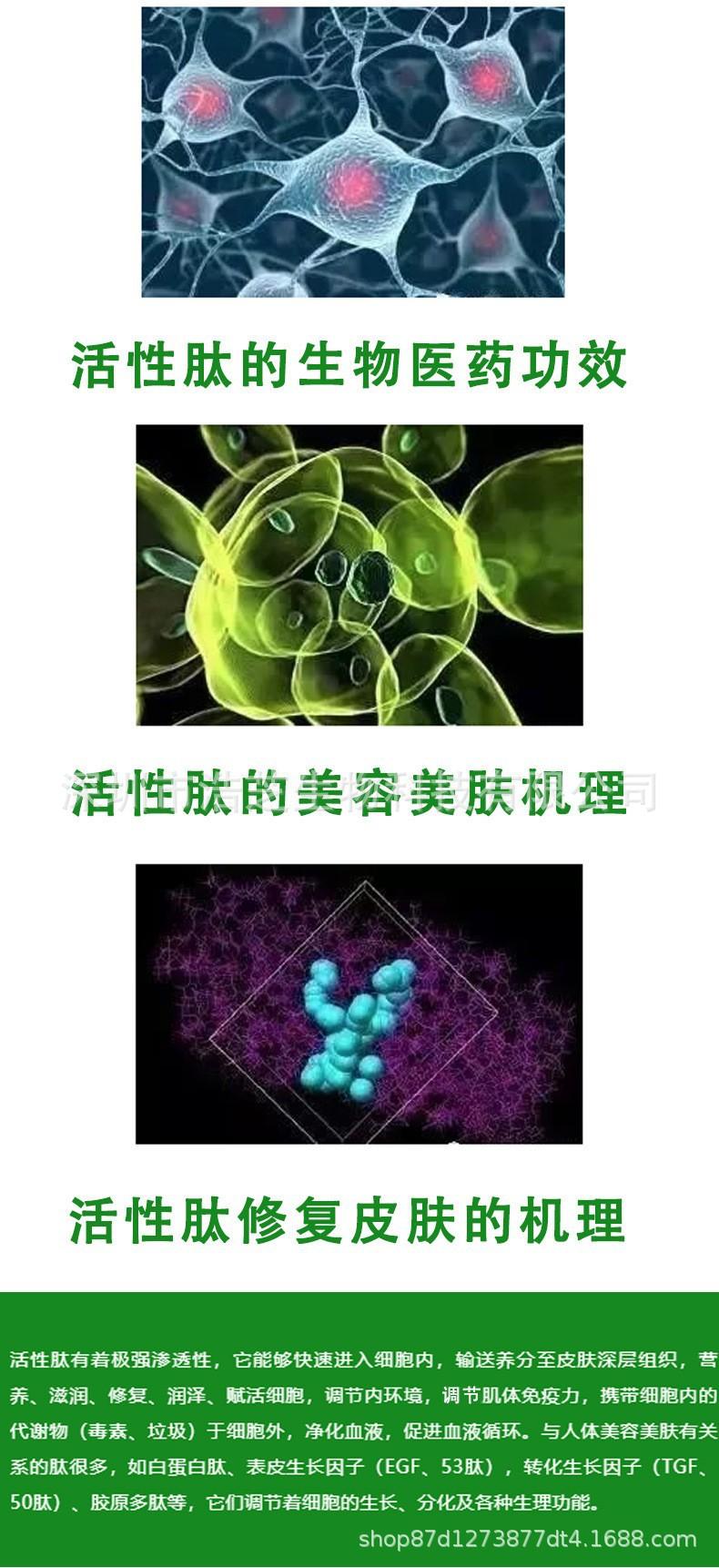 122详情-肽的修复机理.jpg