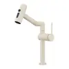 Grifo Mecánico Dopamine para Lavabo de Brazo Universal para Encimera de Baño Grifo de Doble Uso Frío y Caliente Gato de la Suerte