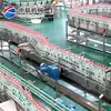 Equipo de Producción de Licores Totalmente Automático, Fabricante de Conjuntos Completos de Equipos de Procesamiento de Licores, Equipo de Elaboración de Cerveza