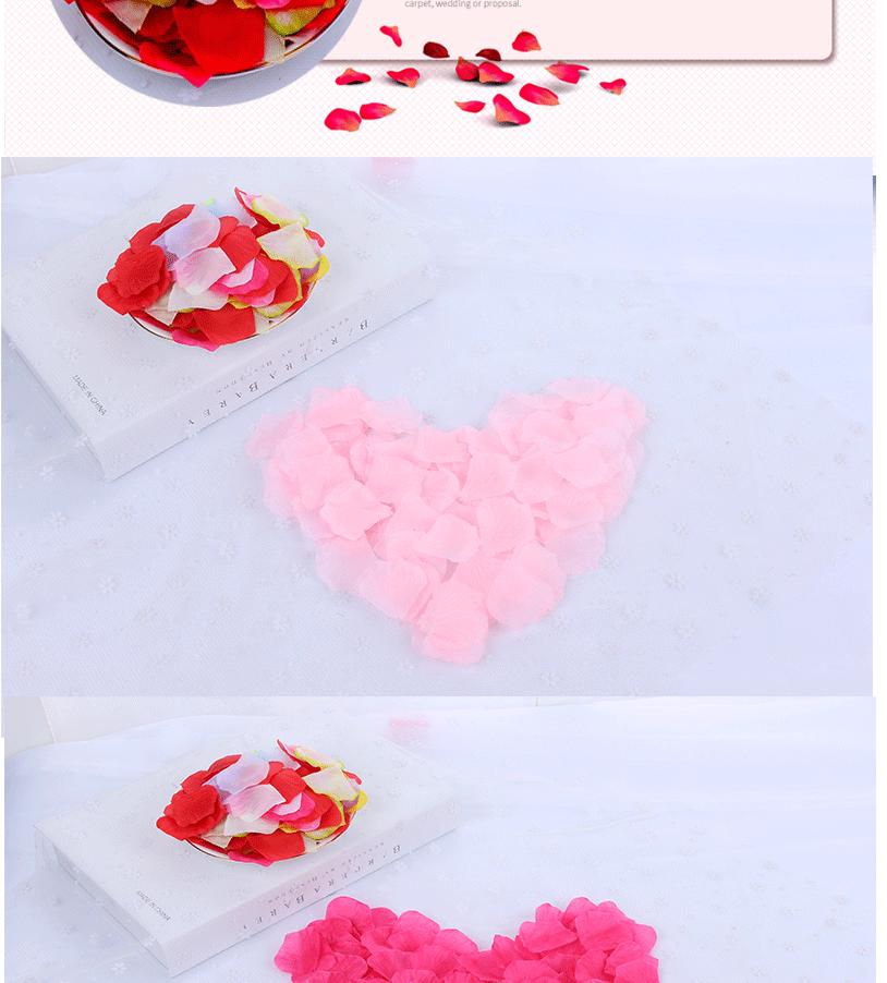 玫瑰花瓣_04