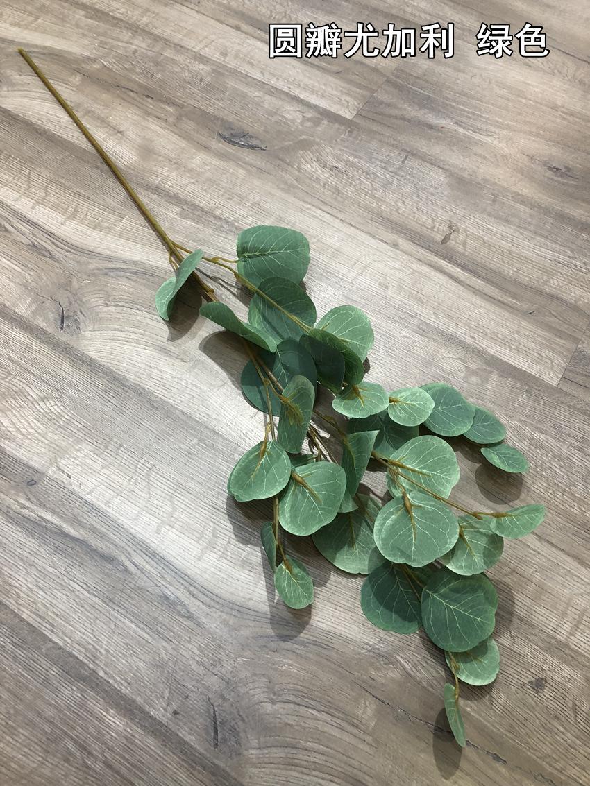 微信图片_20190525173955