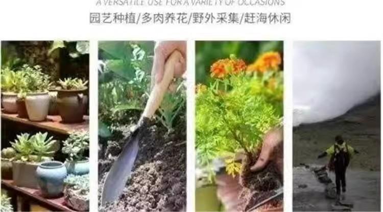 详情图02.jpg