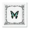 Espécime de Borboleta Real Decoração de Casa DIY Moldura de Madeira para Fotos Suprimentos de Pintura Decorativa Avançada Presente Moderno Presente Criativo