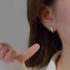 Elegantes pendientes de diamantes de imitación con diseño de nicho, pendientes de alta gama, nueva moda 2024, pendientes de aguja de plata esterlina simples y retro