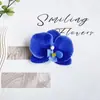 Pétalas de Orquídea Borboleta de Filme Simuladas Caixas de Presente DIY Decoração de Tiara Flores Artificiais Adereços para Fotografia de Casamento Arranjo de Fotos