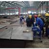 Jiaxing biseladora TAOLE GBM-12D biseladora automática de placa de acero fabricantes