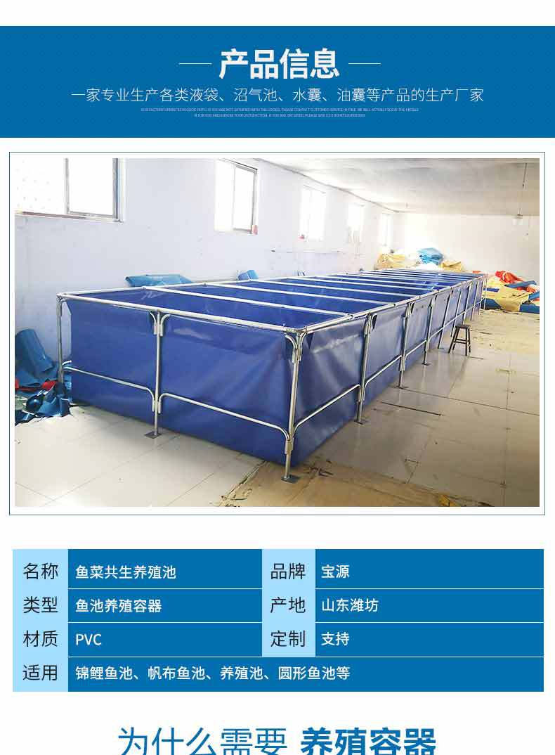 鱼菜共生养殖池_03.jpg