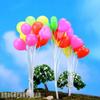 Micropaisaje de musgo para decoración, miniglobos, accesorios para disparar globos, material de decoración del hogar, adorno para pecera, paisaje