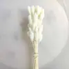 Pequeña Cola de Conejo de Caña Hierba Flor Inmortal Ramo DIY Producto Terminado Decoración Flor Real Adornos de Instagram Hierba de la Pampa Flores Secas Transfronterizo