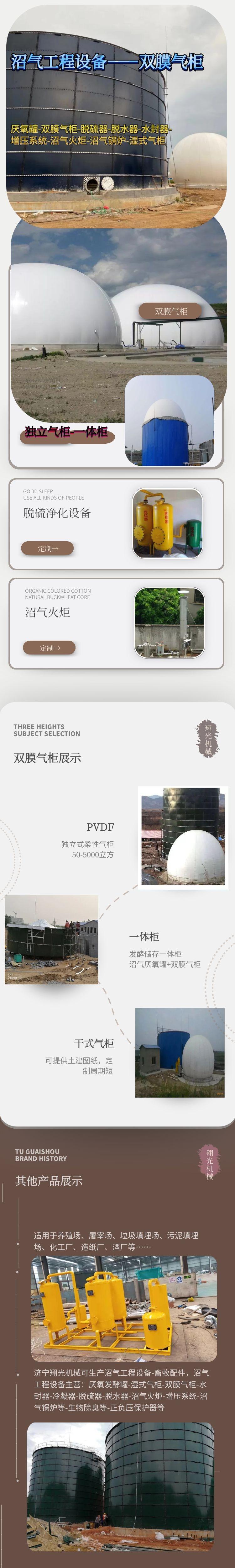 双膜气柜