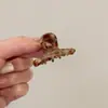 Presilha de Cabelo Pequena de Acetato Coreana para Mulheres, Grampo Fofo para a Parte de Trás da Cabeça, Presilha Jacaré, Mini Presilha para Franja, Acessório de Cabelo