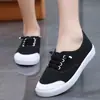 Tênis de Lona Branco com Estampa de Grou Feminino Moda Roupa Externa Slip-on Casual de Cano Baixo Tênis Esportivo Estilo Pessoa Preguiçosa Estudante Versátil Fundo Plano