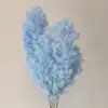 Venta al por mayor de Flores de Pino Inmortalizadas para Flores Secas Transfronterizas, Productos Florales DIY, Ramos, Decoración del Hogar, Arreglos Florales con Flores Reales, Yunnan