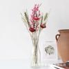 Rhapsody Nuevo Producto Mezcla Simple y Combina Ramo Pequeño Flores Secas al Aire Flor Real Adornos Decoración para el Hogar