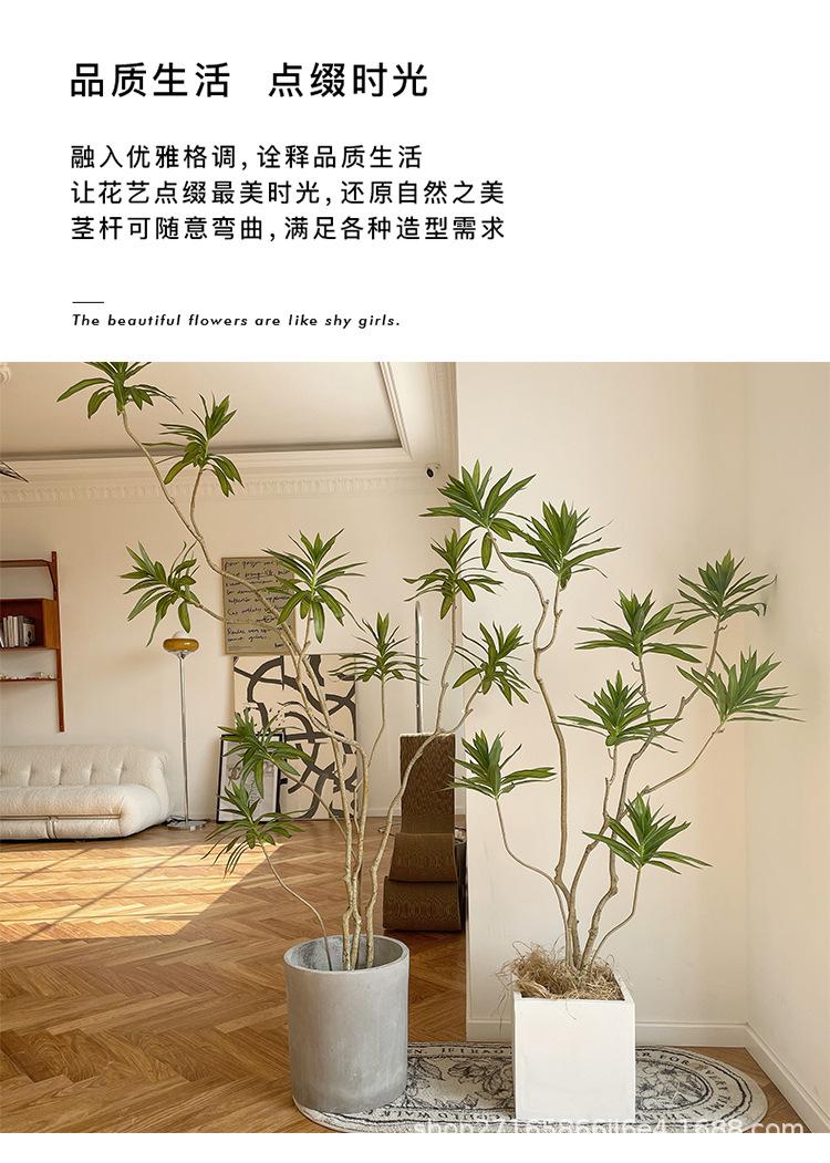 详情_09.jpg