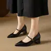 Sapatos Mary Jane femininos de bico fino e corte baixo com salto médio, salto grosso, modelo novo da primavera de 2026, salto alto com fivela de corrente, versátil