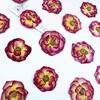 Gradiente Dos Tonos Rosa Al Por Mayor Flor Real Relieve Muestra Cara Relieve Lámpara de Mesa Pegatina de Vela Flor Seca Hecho a Mano Bricolaje