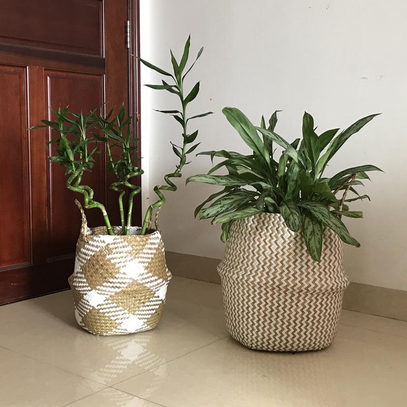 WY白方格