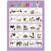 Educación temprana para niños gráfico de pared silencioso gráfico de pared fonético pinyin lectura imagen alfabetización calcomanías de pared para educación temprana tabla inicial de vocales madre fabricantes