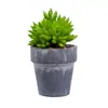 Planta suculenta de simulação em vaso personalidade simples decoração de casa em vaso decoração de interior imitação de bonsai realmente uma geração de cabelo