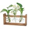 Arreglo Floral Hidropónico de Escritorio con Marco de Madera Transfronterizo, Plantas Verdes Cultivadas en Agua, Jarrón, Contenedor de Vidrio para Colgar en la Pared, Pieza Decorativa
