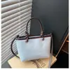 Bolsa pequena elegante e estilosa para mulheres, nova bolsa transversal super popular e versátil para primavera/verão 2026, bolsa de mão tipo balde da moda