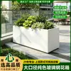 Caixa de Flores Grande de Fibra de Vidro Lisa de Cor Sólida Vaso de Flores Grande Calibre para Exterior Jardim Paisagismo Municipal Fábrica de Vasos de Flores Pode Ser Personalizado