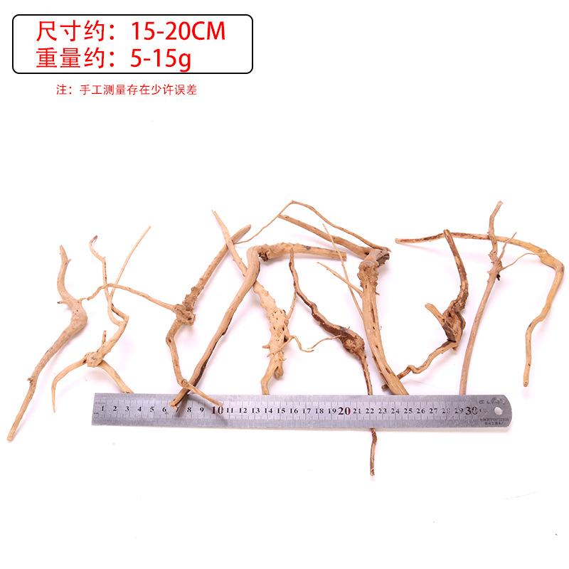 细碎枝条.jpg