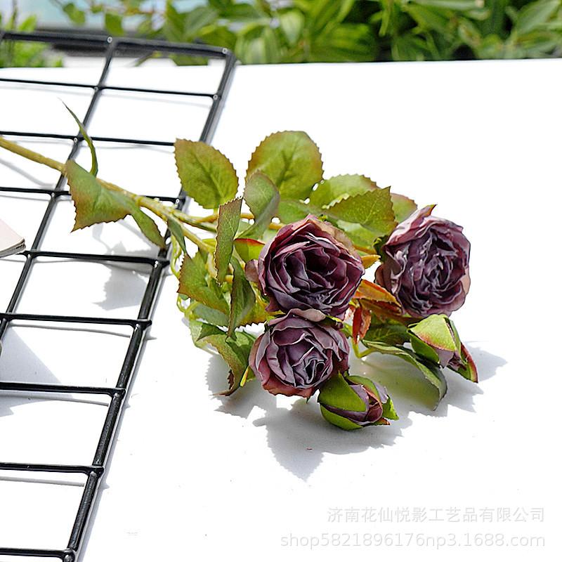 多头复古小蔷薇