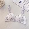 Lingerie Doce Estilo Japonês para Mulheres, Fina, Seios Pequenos, Push-Up, Anti-Flacidez, Valoriza o Decote, Adequada para Jovens, Sutiã de Verão