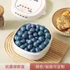 Caixa de Conservação Antibacteriana de Camada Dupla para Cozinha Doméstica, Cesta para Lavar e Escorrer Frutas e Legumes, Caixa de Armazenamento para Geladeira de Grau Alimentício com Tampa