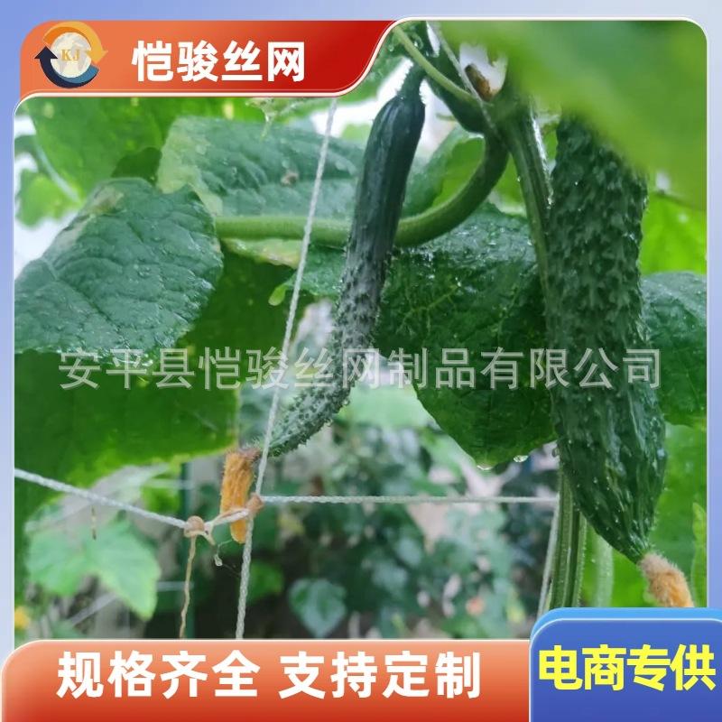 植物网爬藤网攀爬网 (79).jpg