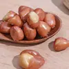 Cacahuates Fritos Crujientes como Snacks, Cacahuates Cocidos con Piel Roja, Sabor Original Salado, Nuevos Snacks Bolsas Comerciales de 2.5kg