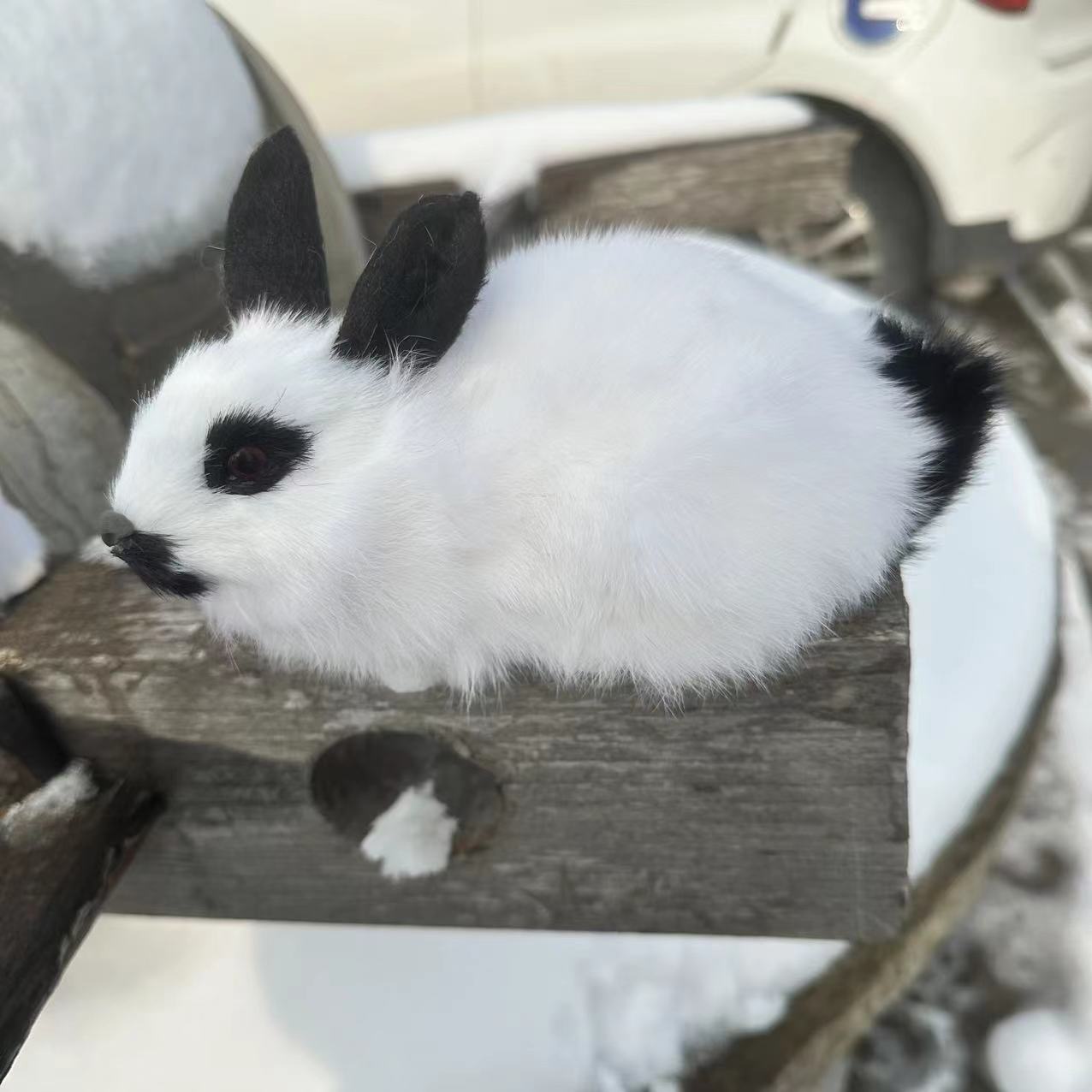 微信图片_202312121359165