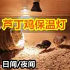 Lámpara de Calor para Cría de Pollitos, Lámpara Calefactora Especial para Codornices, Lámpara de Control de Temperatura para Calefacción de Caja de Cría de Mascotas, Bombilla de Luz para Granja