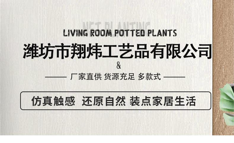 通用详情_01.jpg