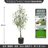 Amazon planta de simulación más vendida olivo planta verde artificial popular planta en maceta dividida desmontable adorno de árbol falso