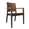 Silla de exportación, silla de comedor sencilla, silla de plástico para el hogar, reposabrazos de ratán sintético, silla de ocio, silla impermeable para balcón y exterior.