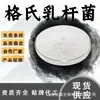 Materia prima de grado alimenticio Lactobacillus deliciobii probiótico en polvo liofilizado polvo sólido soluble en agua para bebidas en stock con envío gratuito