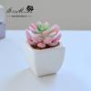 Suculenta Pequeño Bonsái Cerámica Muebles para el Hogar Decoración Fabricante de Jinhua Plantas Verdes Aliexpress Flor Artificial Plantas en Maceta