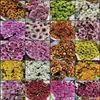Atacado de Flores Margaridas Multicabeça, Entrega Direta de Yunnan, Cestas de Flores, Buquês, Arranjos para Vaso em Casa, Exposição em Banca, Compra em Grupo, Dropshipping de Uma Peça