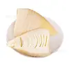 Brotos de Bambu de Inverno Cozidos 260g*20 Pacotes/Peça Guangzhou Atacado Pontas Frescas de Brotos de Bambu Brotos de Bambu de Inverno Frescos Brotos de Bambu