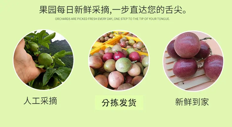 广西台农百香果详情图9