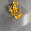 Hoja de Ginkgo Simulada Muebles para el Hogar Paisajismo de Ingeniería Decoración de Ginkgo Foto Flor Artificial Proceso de Teñido a Doble Cara Flor Artificial