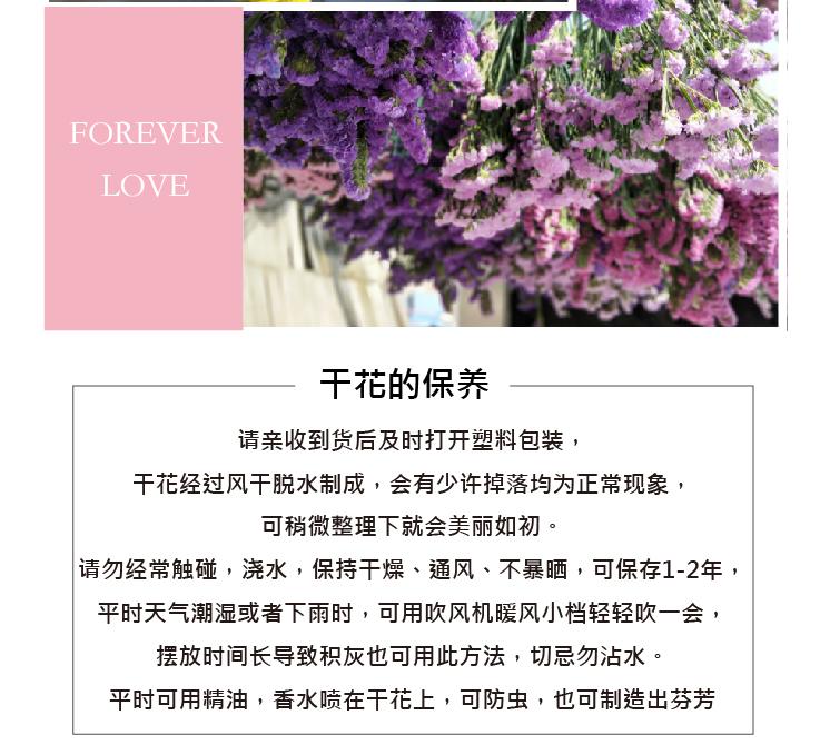 详情页13.jpg