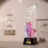 Trofeo de Cristal Hecho a Medida para Premios de Alta Gama y Elegantes para Empleados Destacados, Campeones de Concursos Creativos y Premios de Reunión Anual