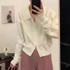 Cardigan suéter com gola polo e zíper para mulheres, estilo curto outono e inverno, versão coreana, design solto, tricô de nicho para mulheres