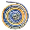 Correa para Perro Degradada de 12 mm Arcoíris Correa para Correr Mascota Color Degradado Cuerda Trenzada de Tres Hilos Cuerda Degradada Venta al por Mayor