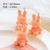 Colgante de Conejo Colorido de Resina Flotada Lindo Accesorios de Joyería Muñeca para Cadena de Teléfono Móvil Bolso DIY Hecho a Mano